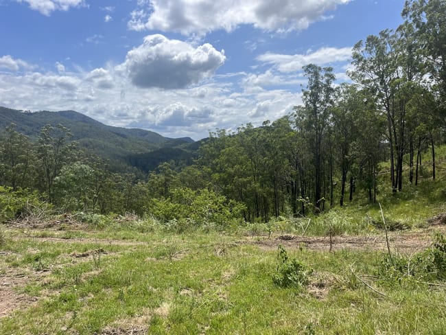 Nowendoc Road Caffreys Flat NSW 2424