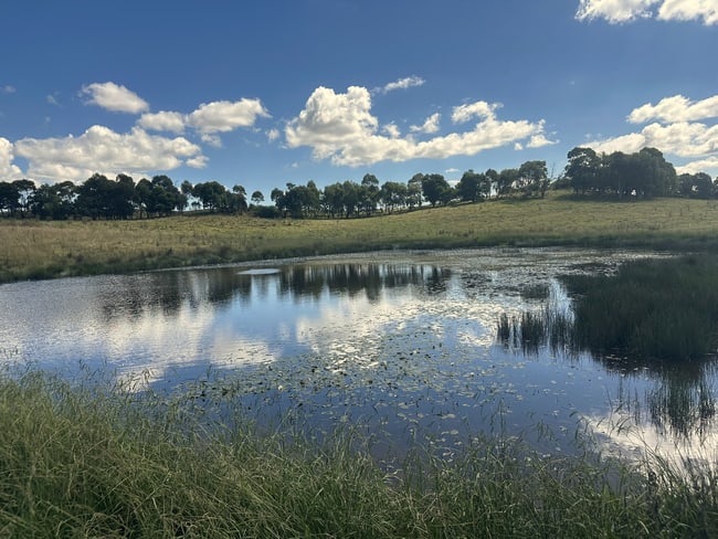 12/371 Mayfield Road Braidwood NSW 2622 12/371 Mayfield Road Braidwood NSW 2622