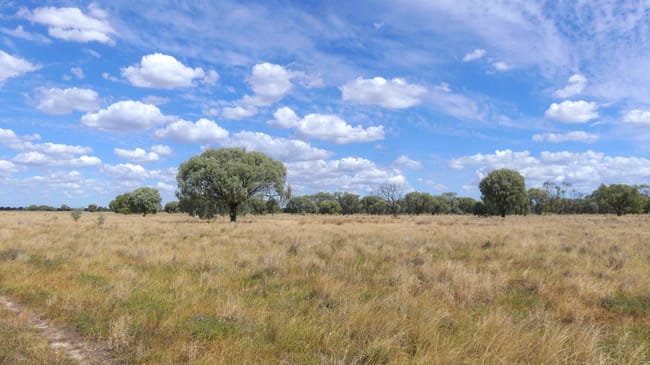 382 Duffity Rd Warren NSW 2824 382 Duffity Rd Warren NSW 2824