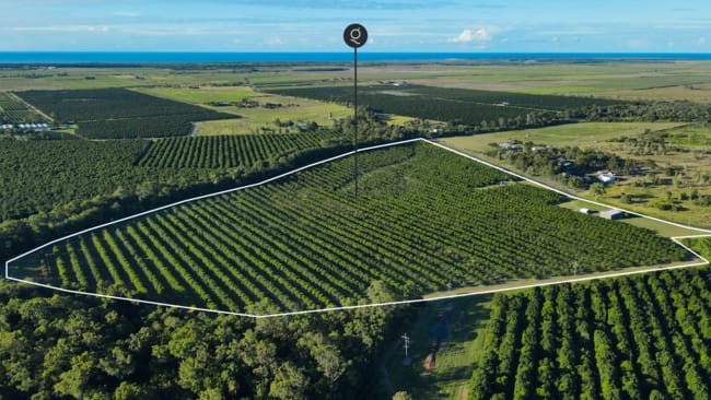 733 Gooburrum Road Welcome Creek QLD 4670 733 Gooburrum Road Welcome Creek QLD 4670