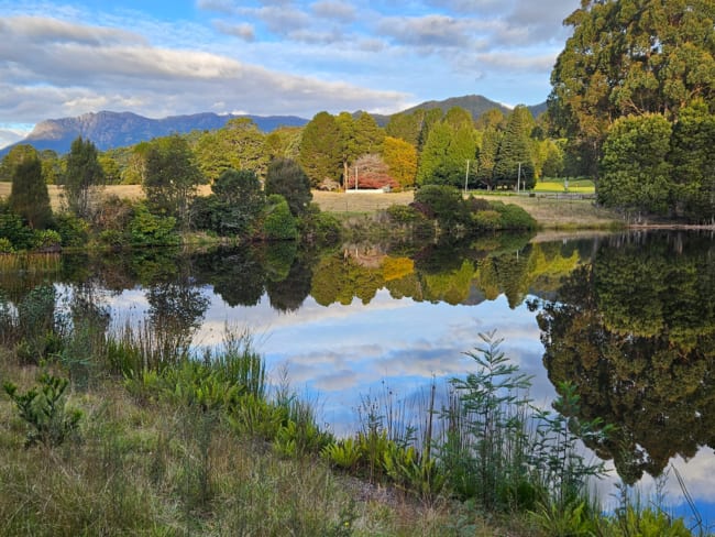 12384 Murchison Highway Rosebery TAS 7470 12384 Murchison Highway Rosebery TAS 7470