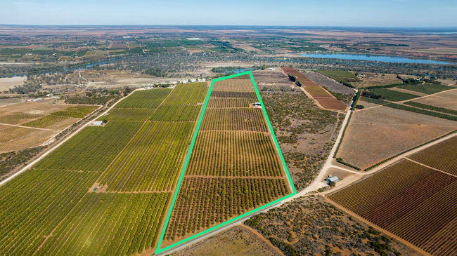 245 Promnitz Road, Taylorville SA 5330 245 Promnitz Road, Taylorville SA 5330