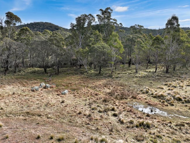 Lot 1065 Creewah Road Creewah NSW 2631 Lot 1065 Creewah Road Creewah NSW 2631