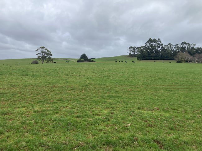 16797 Bass Highway Flowerdale TAS 7325 16797 Bass Highway Flowerdale TAS 7325