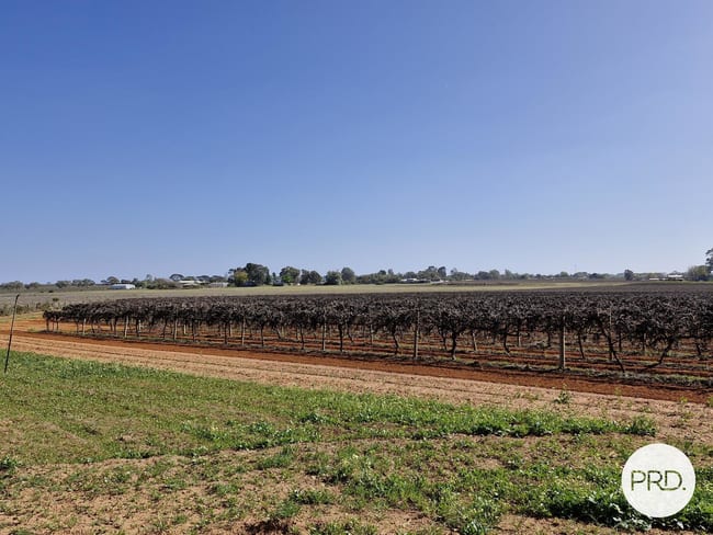 C.A 135 Cowanna Avenue South Merbein South VIC 3505 C.A 135 Cowanna Avenue South Merbein South VIC 3505