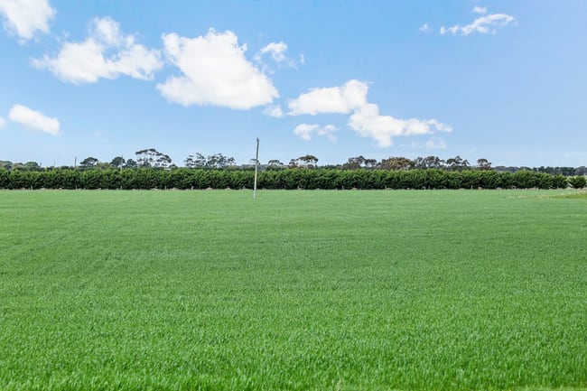 725 Barunah South Road Wingeel VIC 3321 725 Barunah South Road Wingeel VIC 3321