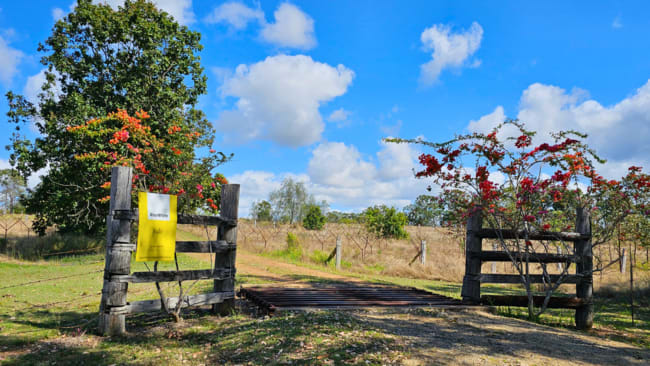 991 Mount Steadman Road Mount Steadman QLD 4625 991 Mount Steadman Road Mount Steadman QLD 4625