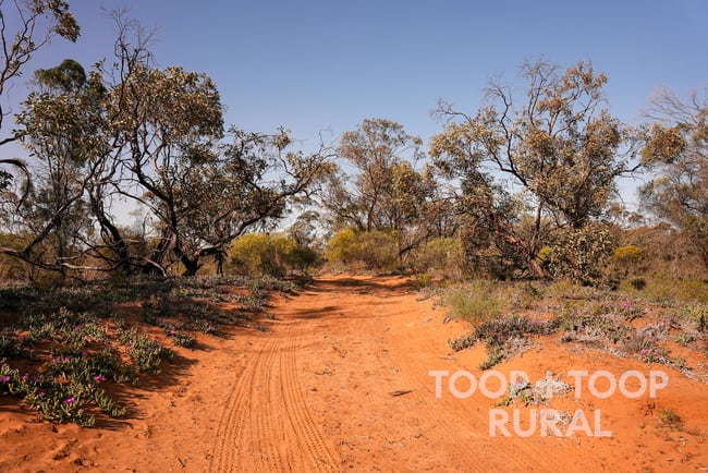1265/ Warnecke Road Monash SA 5342