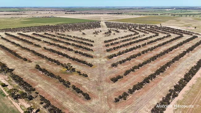 Lot 57 Snell Road Nangeenan WA 6414 Lot 57 Snell Road Nangeenan WA 6414
