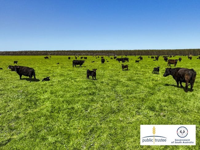 364 Wilsons Road Mumbannar VIC 3304 364 Wilsons Road Mumbannar VIC 3304