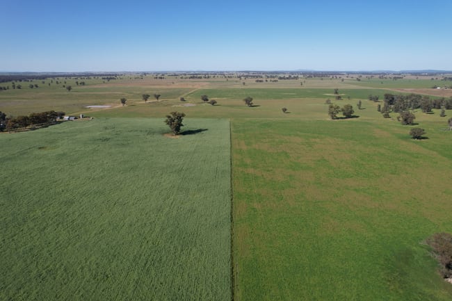 1715 The Bogan Way Forbes NSW 2871 1715 The Bogan Way Forbes NSW 2871