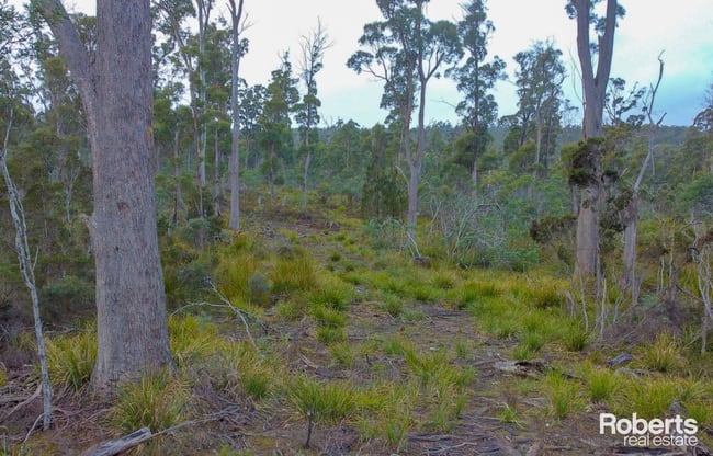 608 Lilydale Road Underwood TAS 7268 608 Lilydale Road Underwood TAS 7268