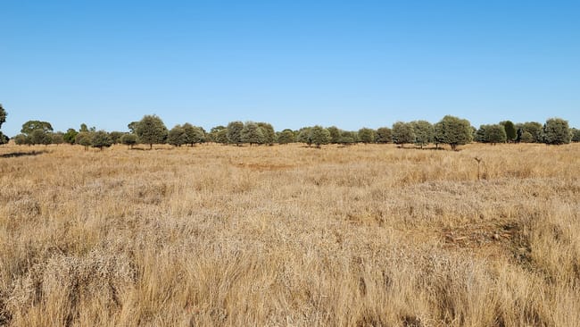 3930 MIDDLE ROAD Mitchell QLD 4465