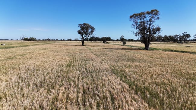 7172 Murray Valley Highway Cullen VIC 3568 7172 Murray Valley Highway Cullen VIC 3568