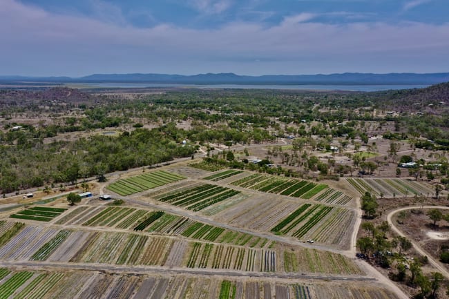 1 Greta Road Oak Valley QLD 4811 1 Greta Road Oak Valley QLD 4811