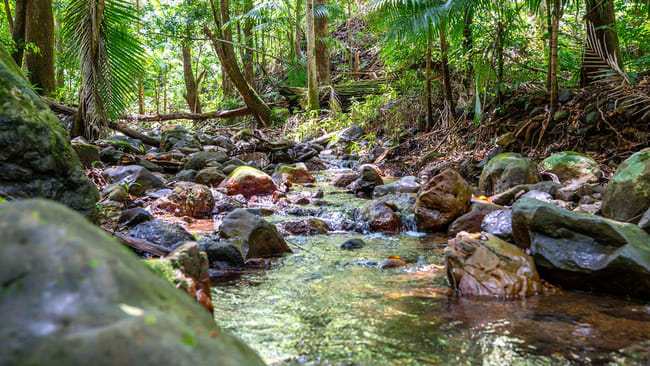 183 Killabakh Creek Road Killabakh NSW 2429