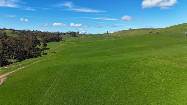 39 Glenholme Rd Wirrabara SA 5481 39 Glenholme Rd Wirrabara SA 5481