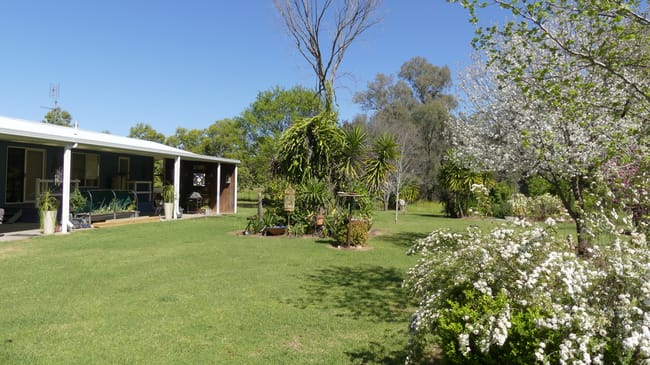 343 Rifle Range Rd Warren NSW 2824 343 Rifle Range Rd Warren NSW 2824