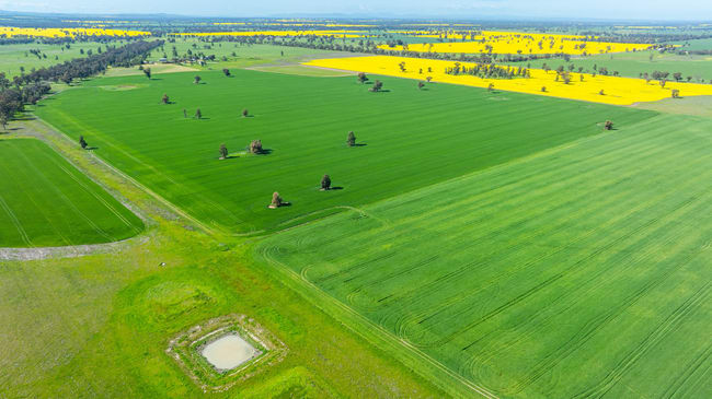 153 Balldale-Coreen Road Corowa NSW 2646 153 Balldale-Coreen Road Corowa NSW 2646