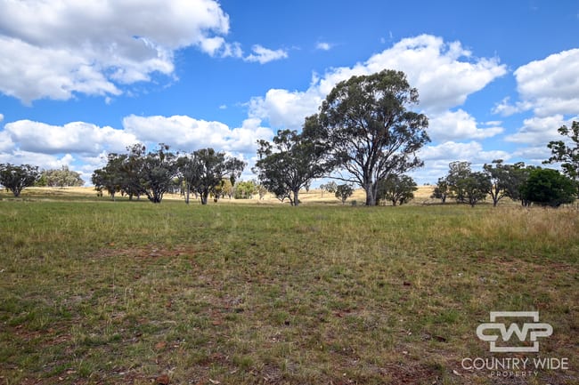 1925 Nullamanna Road Nullamanna NSW 2360