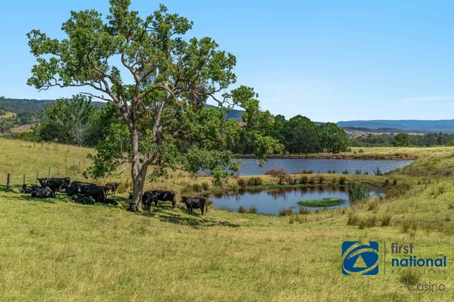 10366 Mount Lindesay Road Legume NSW 2476 10366 Mount Lindesay Road Legume NSW 2476