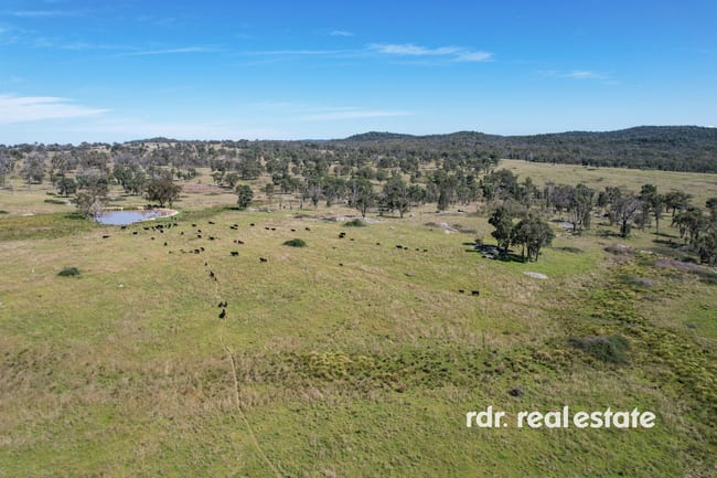 1305 Bingara Road Bundarra NSW 2359