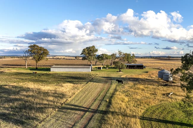 534 Wyreema Athol Road Wyreema QLD 4352 534 Wyreema Athol Road Wyreema QLD 4352
