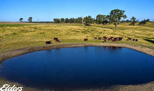 322 Stockdale - Fernbank Road Stockdale VIC 3862 322 Stockdale - Fernbank Road Stockdale VIC 3862