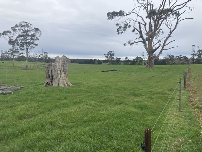 67 Myrtle Grove Road Wiltshire TAS 7321 67 Myrtle Grove Road Wiltshire TAS 7321