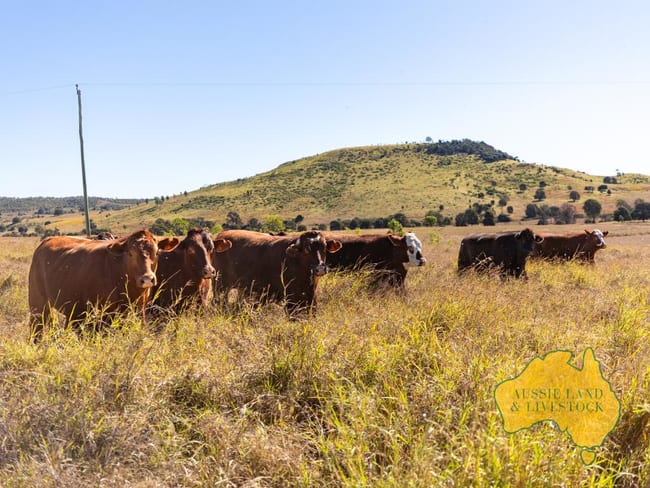 1278 TOP GURGEENA ROAD Branch Creek QLD 4625 1278 TOP GURGEENA ROAD Branch Creek QLD 4625