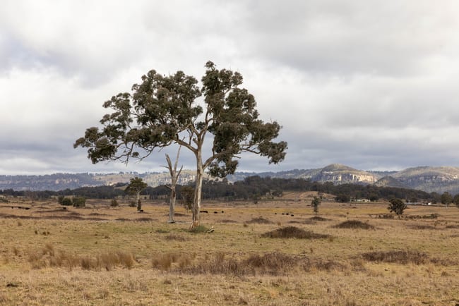 162 Mount View Road Kandos NSW 2848 162 Mount View Road Kandos NSW 2848