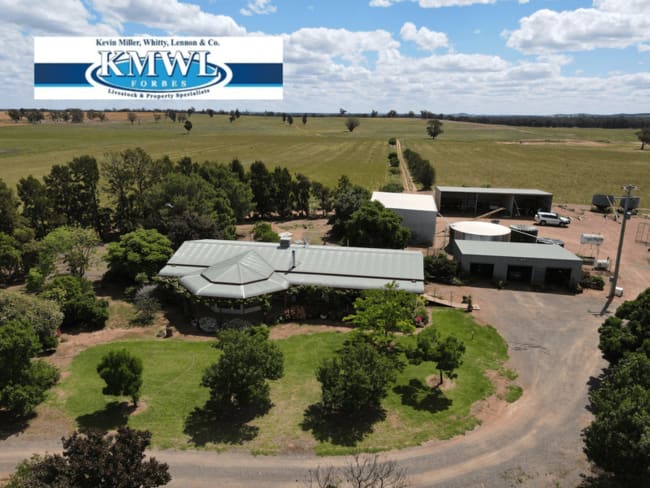 893 Deaths Lane Pullabooka NSW 2810 893 Deaths Lane Pullabooka NSW 2810