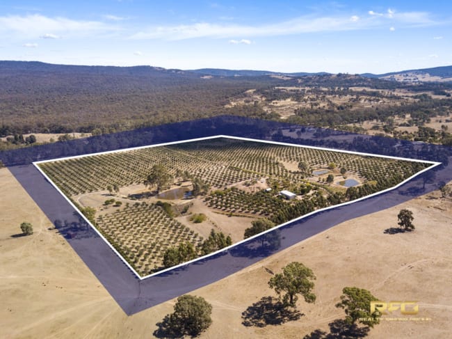 3450 Sunraysia Hwy Stuart Mill VIC 3477 3450 Sunraysia Hwy Stuart Mill VIC 3477