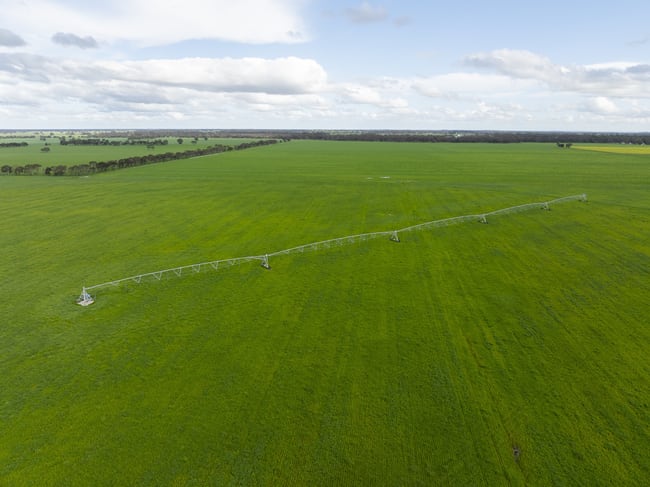 1427 Naracoorte Road Bordertown SA 5268 1427 Naracoorte Road Bordertown SA 5268
