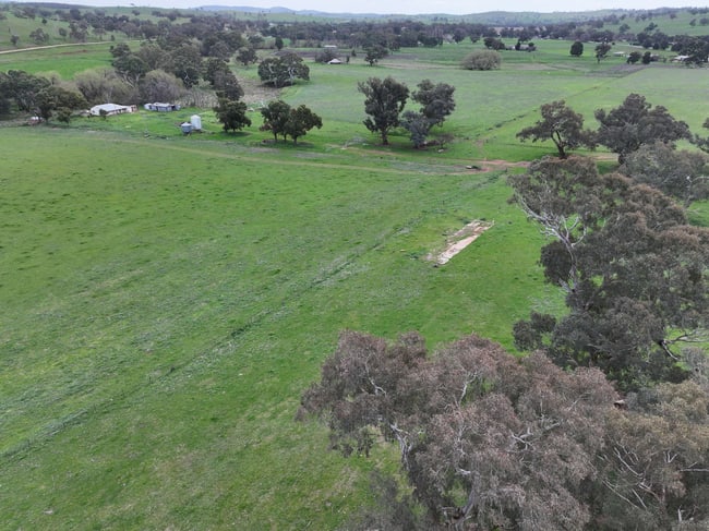1471 & 1557 Muttama Road Muttama NSW 2722