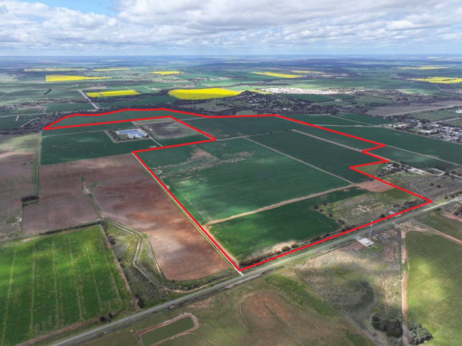 - Oneil Street Pyramid Hill VIC 3575