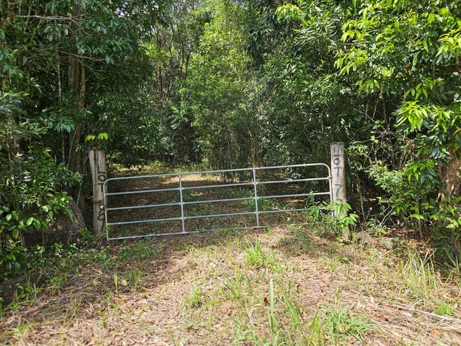 2401 Rossville Bloomfield Road Bloomfield QLD 4895