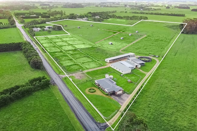 335 Spring Flat Road Wangoom VIC 3279 335 Spring Flat Road Wangoom VIC 3279