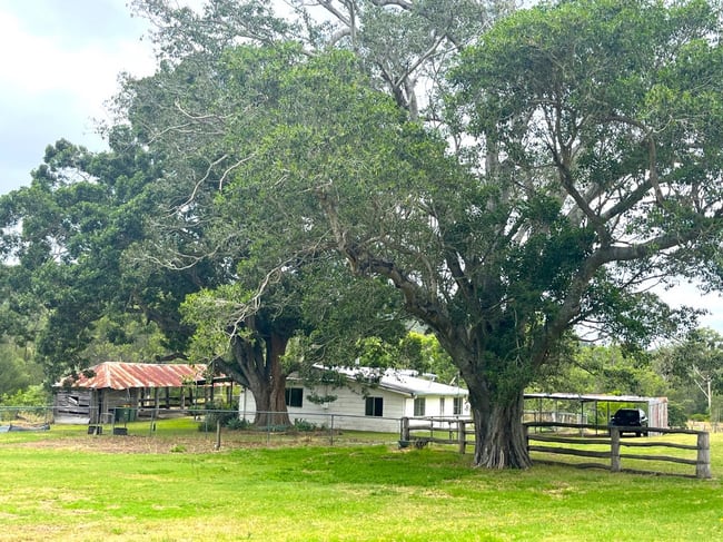 393 Gittins Road Withcott QLD 4352 393 Gittins Road Withcott QLD 4352