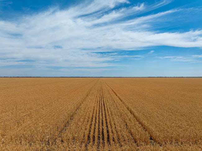 278 Daenke Road Jerilderie NSW 2716