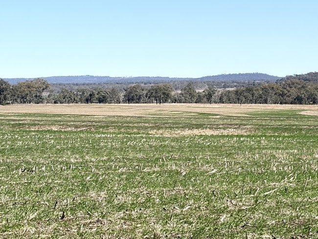 Lot 50 Rosenberger Road Wyreema QLD 4352 Lot 50 Rosenberger Road Wyreema QLD 4352