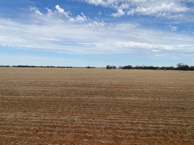 - Henty Highway Hopetoun VIC 3396