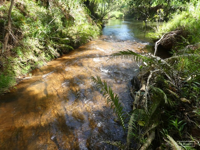 L 18 Camarlinghi Road Daradgee QLD 4860