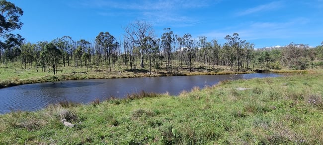 0 Hazeldene Road Thane QLD 4370 0 Hazeldene Road Thane QLD 4370