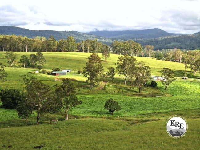 1023 Iron Pot Creek Rd Kyogle NSW 2474