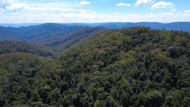 Baxters Ridge Road Gloucester NSW 2422 Baxters Ridge Road Gloucester NSW 2422