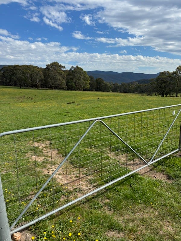 102 Kain Cross Road Braidwood NSW 2622 102 Kain Cross Road Braidwood NSW 2622