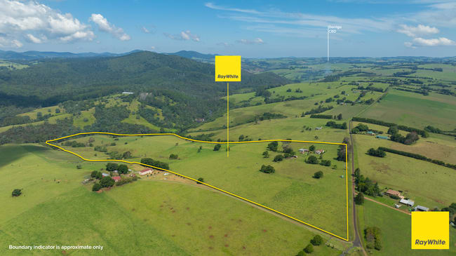 262 Snows Road Dorrigo NSW 2453 262 Snows Road Dorrigo NSW 2453