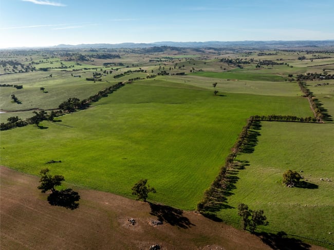 478 Illawong Road Jugiong NSW 2726
