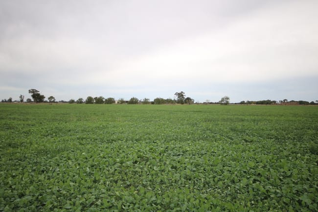 34 Stone Lane Rochester VIC 3561